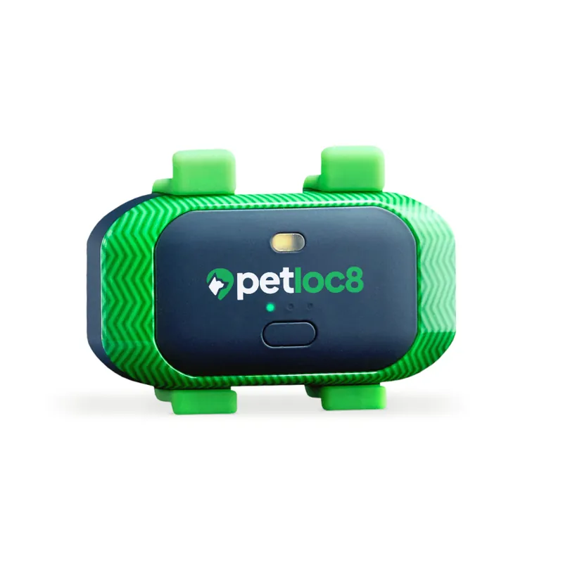Envío Inmediato Trackimo Localizador GPS Petloc8 4G para perros y gatos
