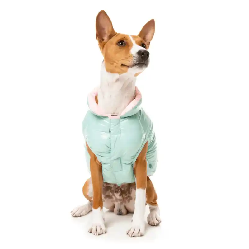 FuzzYard Chaqueta Amor Puffer Menta Promoción Exclusiva
