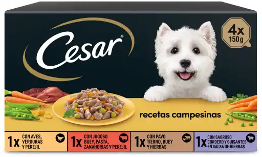 Cesar Comida Húmeda Selección Recetas Campesinas Salsa Multipack para perros Venta Final