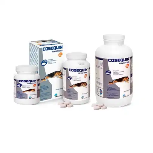Cosequin Advanced Condroprotector Ds Msm Ha Solo Hoy