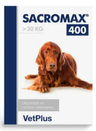 VetPlus Sacromax 400 Complemento para la Salud del Hígado en Perros >30 Kg Solo Hoy