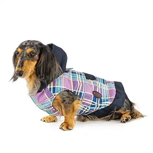 Ibañez Chubasquero con Capucha Morado para perros Directo De Fábrica