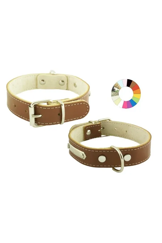Collares Perro Collar Mountain PT 54-63 L700 A35 Súper Precio