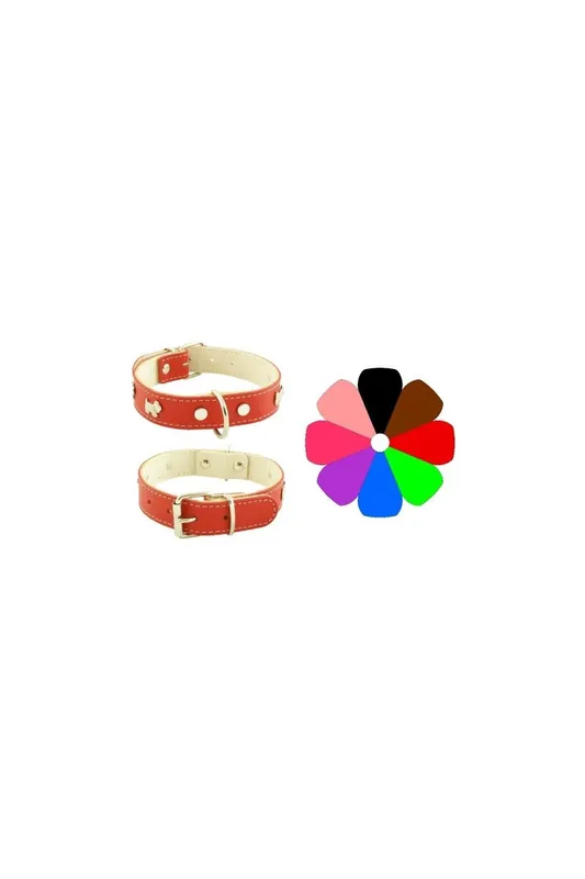 Oferta Limitada Ramales Perro Collar Mountain Westy PT 30-36 L400 A25