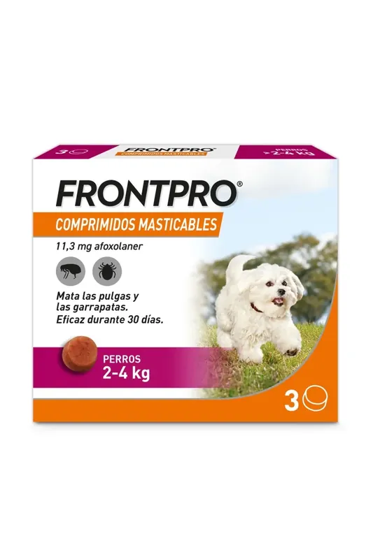 Suplementos Frontpro Comp Mast 24Kg (S) 3 Comp Ocasión Especial