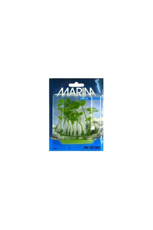 Decoración Acuario Marina Aquascaper Foreg. Trebol Acuµtico 5 Cm Precio Bajo