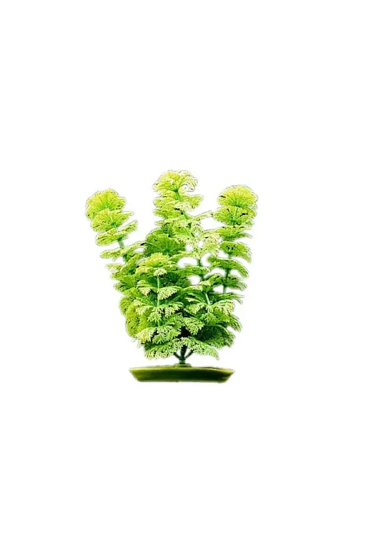 Promoción Exclusiva Decoración Acuario Marina Aquascaper Peq. Ambulia 12,5 Cm